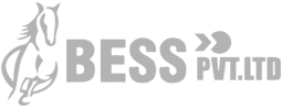 Mega business
