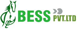 Mega business